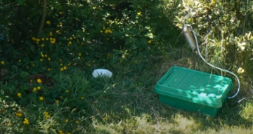 Plate and box under some bushes